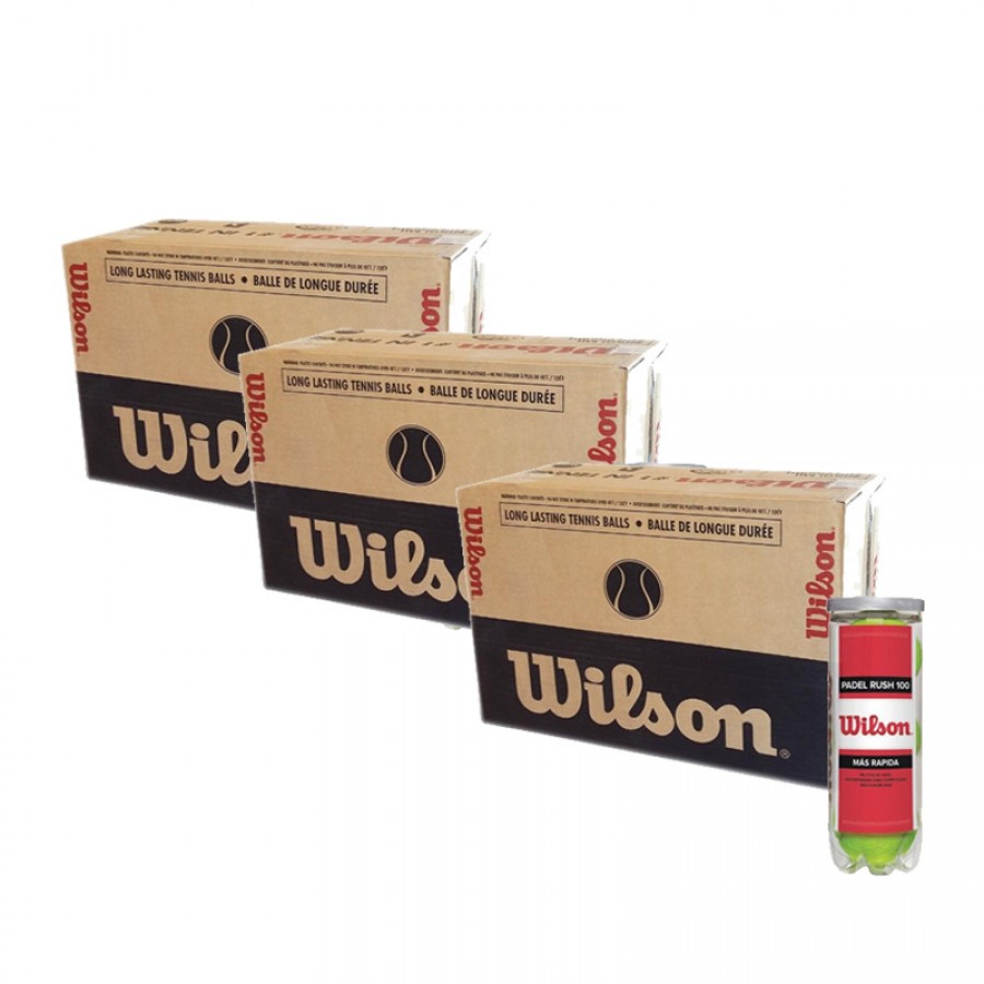 Scatola 72 Palline - 24 Contenitori da 3 pz - Wilson Rush 100 x 3 Unita  Offerta + Economico