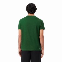 Lacoste Sport Verde Bianco Maglietta  Offerta + Economico