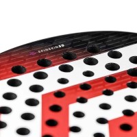 Pala Tecnifibre Curva Speed 2025  Offerta + Economico